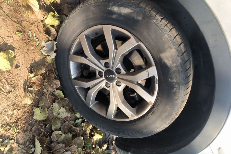 哈弗H6 2021款 国潮版 1.5GDIT 自动冠军版车身外观10