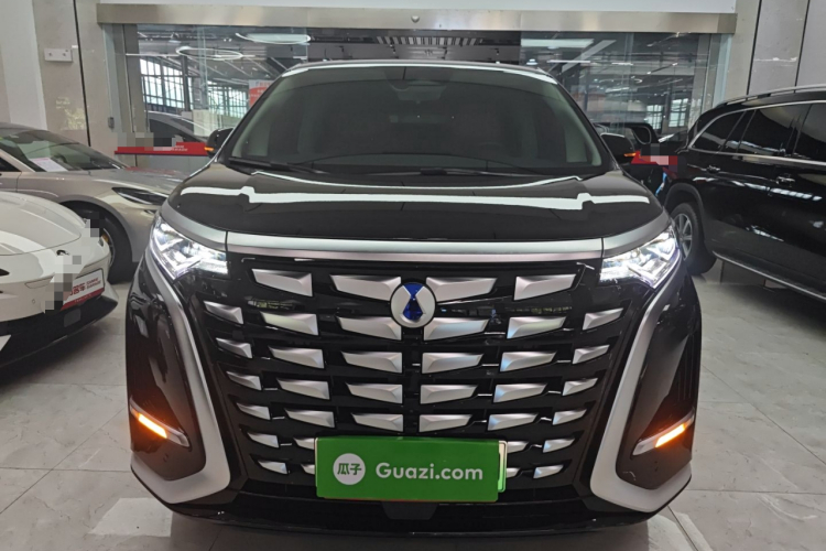 腾势D9 2024款 DM-i 1050 尊享型车身外观2