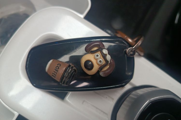 吉利银河 2023款 熊猫mini 200km 耐力熊中控内饰11