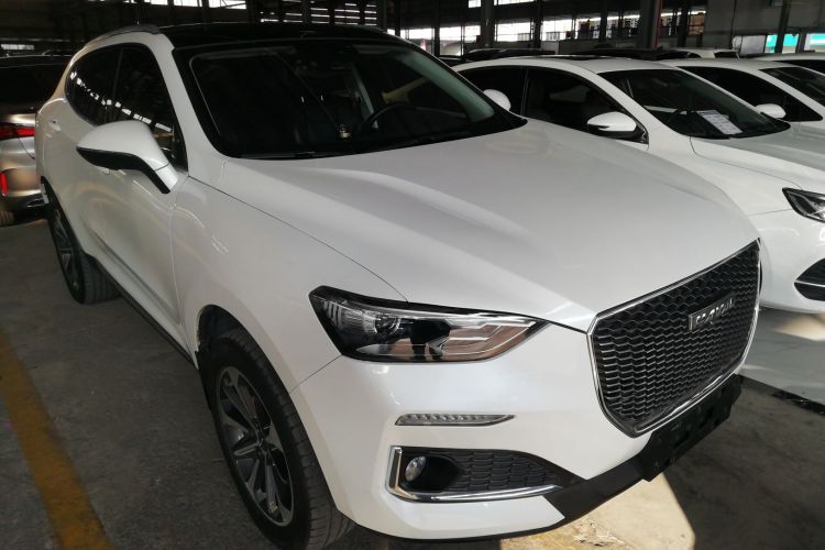 哈弗F5 2019款 国潮版 1.5T i潮 国V车身外观3