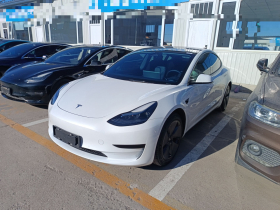特斯拉 Model 3 2022款 后轮驱动版
