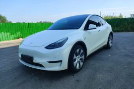 特斯拉 Model Y 2022款 后轮驱动版