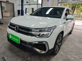 大众 途岳 2023款 300TSI 两驱皎月版