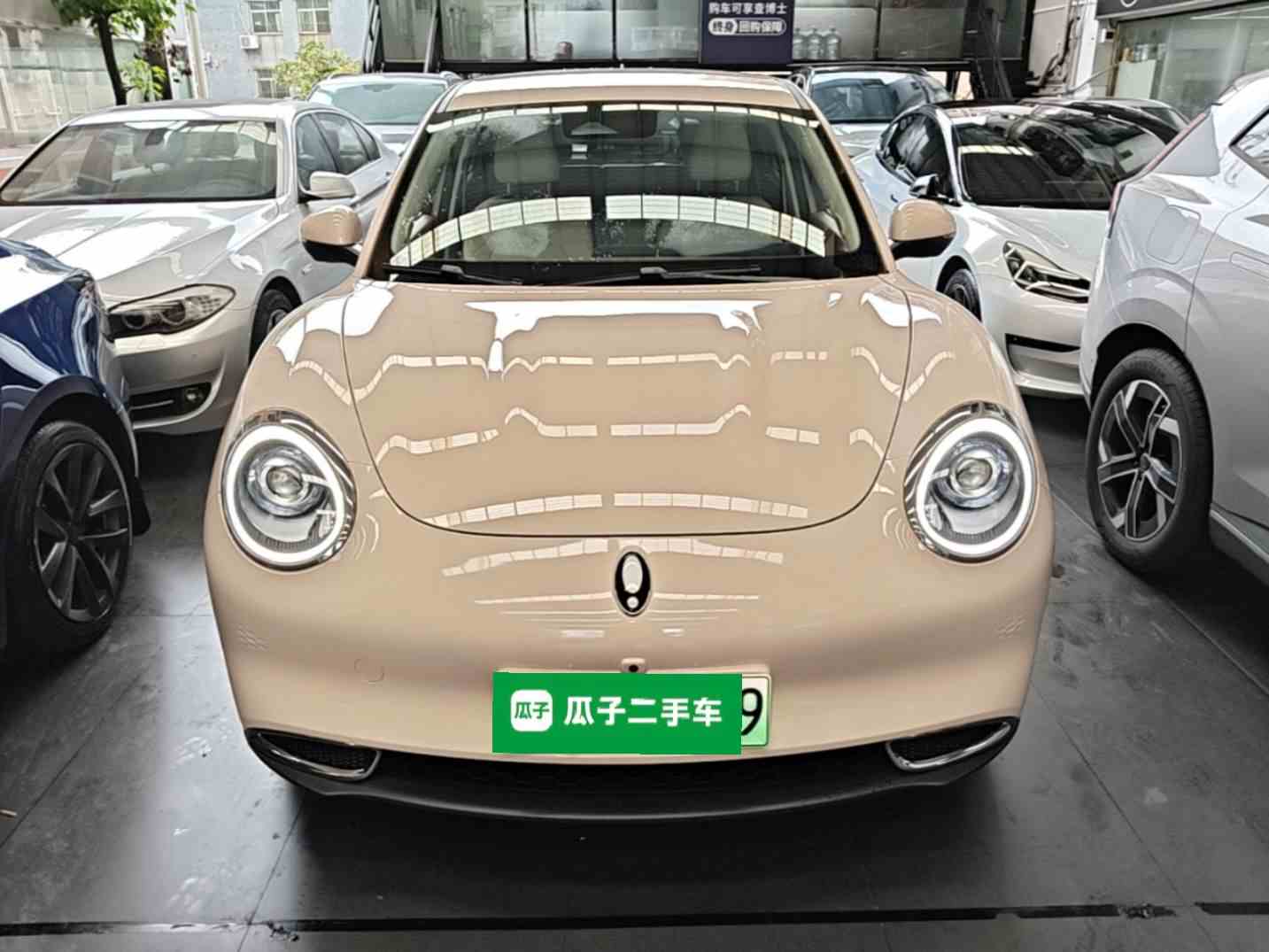 欧拉好猫 2023款 401km标准续航 豪华型 磷酸铁锂(1)