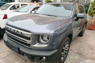 哈弗大狗 2024款 1.5T DCT边牧版