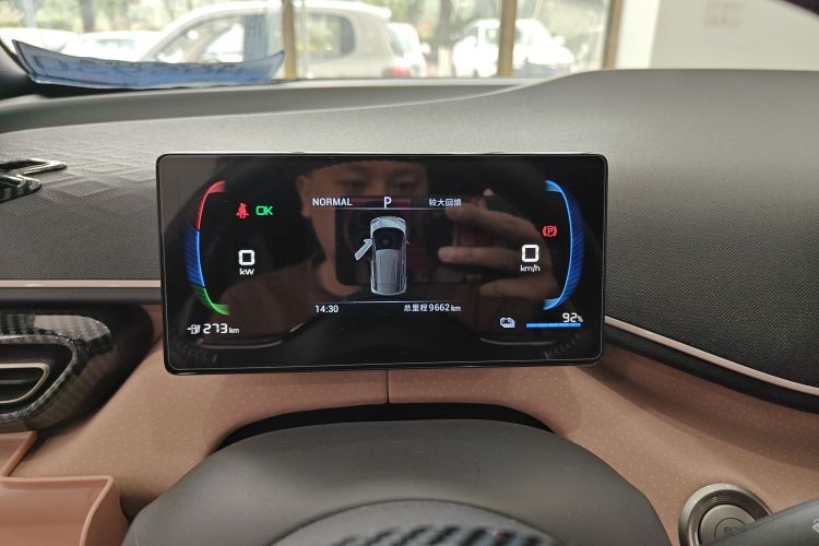 比亚迪 海鸥 2024款 荣耀版 305km 自由版局部细节14