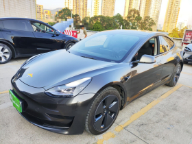 特斯拉 Model 3 2022款 后轮驱动版