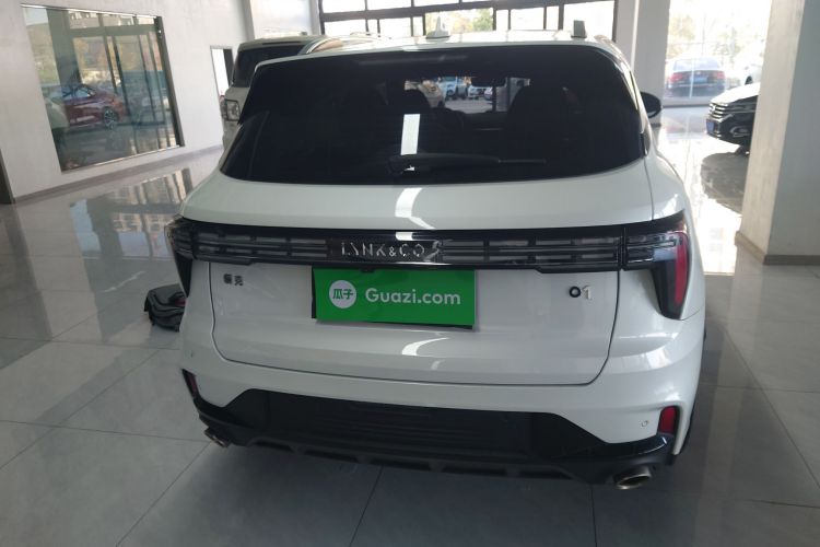 领克01 2023款 2.0TD 两驱型Pro车身外观6