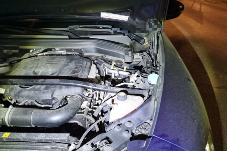 阿尔法·罗密欧 Stelvio斯坦维 2017款 2.0T 200HP 精英版局部细节9007