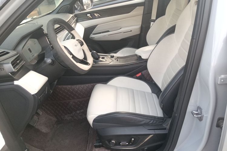 领克01 EM-P 2023款 1.5TD EM-P 晨曦版局部细节19