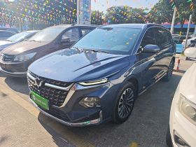 五菱汽车 五菱凯捷 2023款 2.0L DHT奢享型