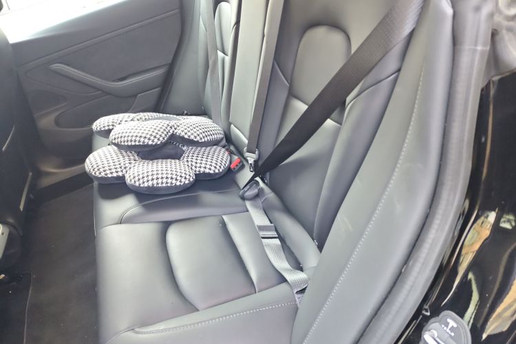 特斯拉 Model 3(进口) 2019款 长续航全轮驱动版中控内饰21