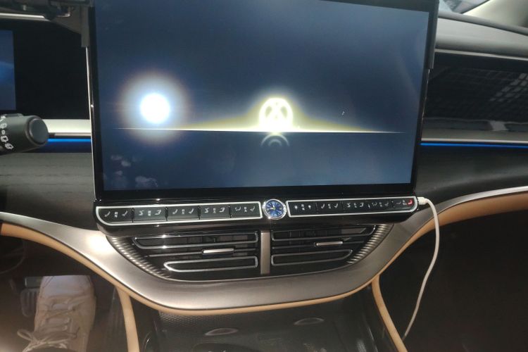 腾势D9 2024款 DM-i 980 四驱尊荣型局部细节16