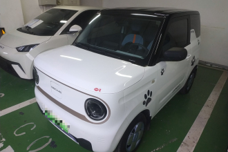 吉利银河 2023款 熊猫mini 200km 耐力熊