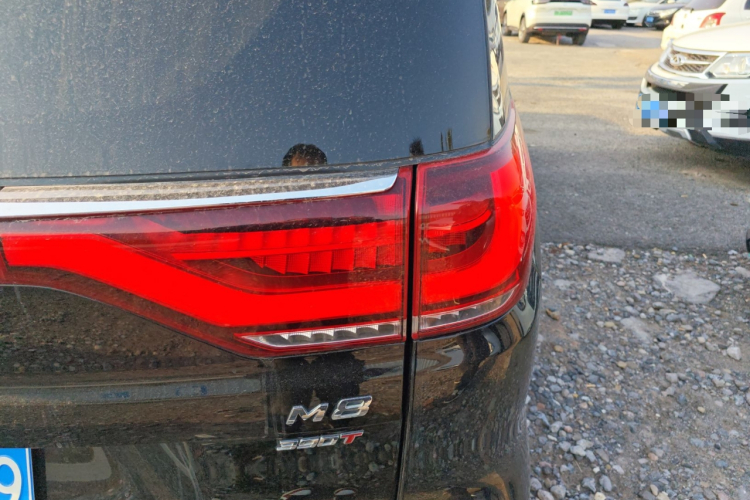 广汽传祺 传祺M8 2021款 大师系列 390T 尊贵版车身外观9