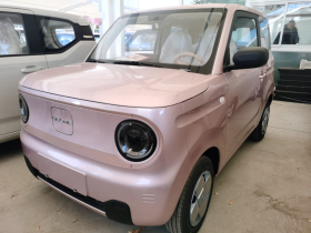 吉利银河 2024款 熊猫mini 200km 耐力熊