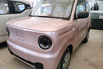 吉利银河 2024款 熊猫mini 200km 耐力熊