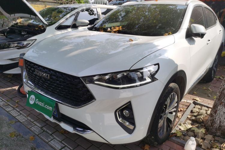哈弗F7x 2019款 1.5T 两驱极智潮玩版车身外观1
