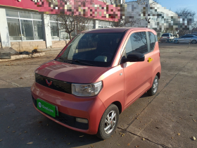 五菱汽车 宏光MINIEV 2020款 自在款 三元锂