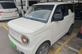 吉利银河 2023款 熊猫mini 200km 耐力熊