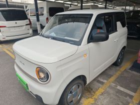 吉利银河 2023款 熊猫mini 200km 耐力熊