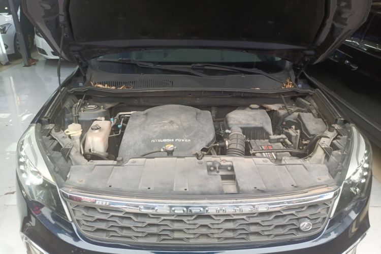 猎豹汽车 猎豹CS10 2017款 2.0T 手动卓越型局部细节24