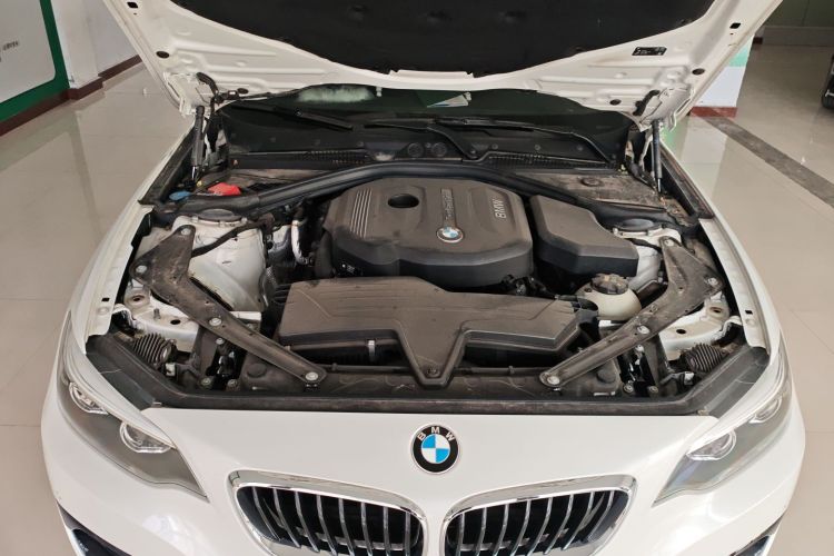 宝马2系(进口) 2018款 220i 敞篷轿跑车 运动设计套装机舱底盘24