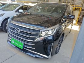 广汽传祺 传祺M8 2023款 领秀系列 390T 尊享版