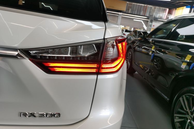 雷克萨斯RX 2016款 300 两驱精英版 国V车身外观9