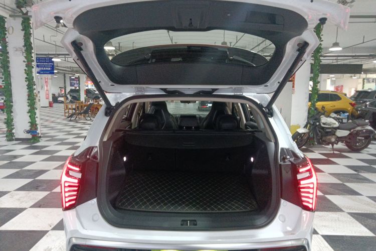 红旗HS3 2024款 1.5T 善为版局部细节23