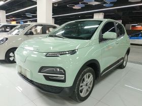 大运 悦虎 2022款 30.66kWh 两驱标准版