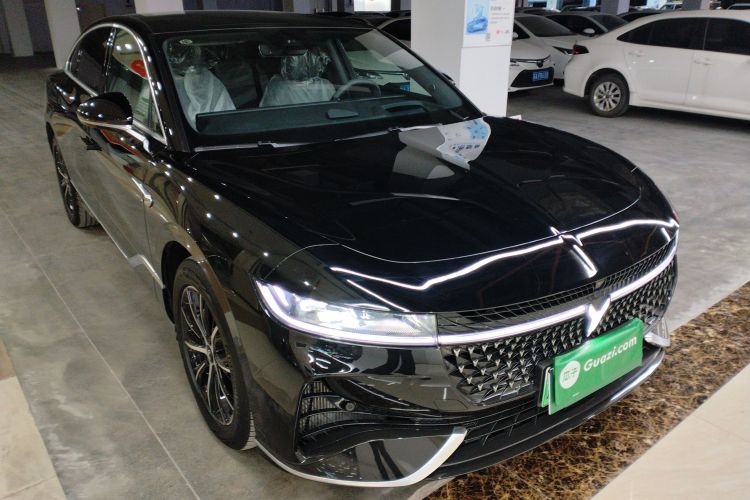 岚图汽车 岚图追光 2024款 PHEV 四驱超长续航行政版车身外观3