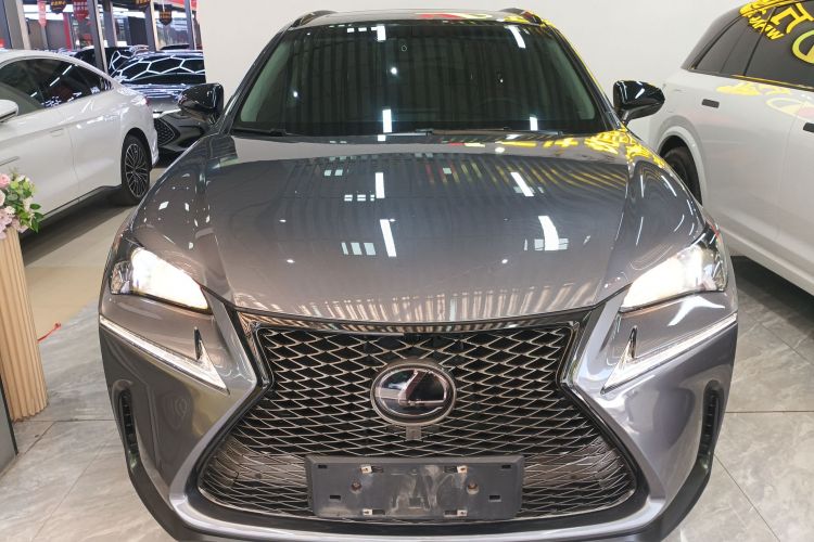 雷克萨斯NX 2015款 200t 全驱 锋尚版车身外观6001