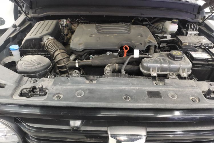 坦克300 2024款 2.0T 征服者机舱底盘24