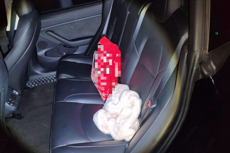 特斯拉 Model 3 2022款 后轮驱动版中控内饰21