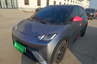 比亚迪 海鸥 2023款 自由版