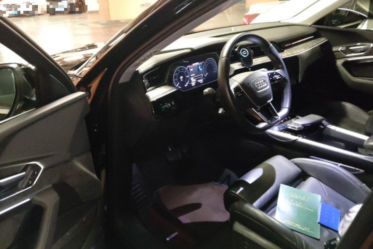 奥迪e-tron(进口) 2019款 55 quattro 技术型中控内饰20