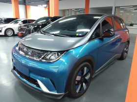 比亚迪 海豚 2021款 401km 骑士版