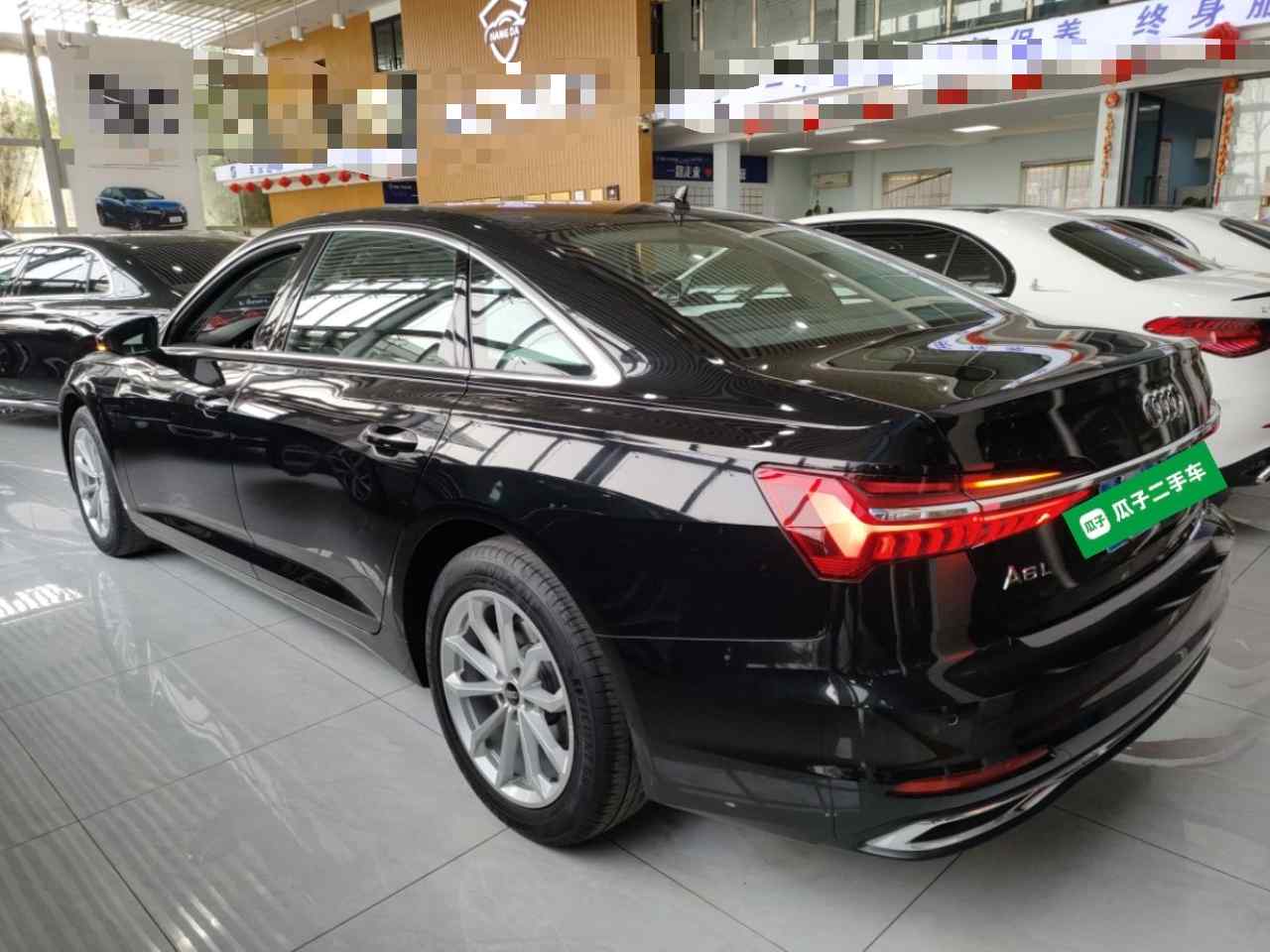 奥迪A6L 2023款 改款 40 TFSI 豪华致雅型(3)