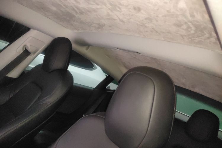 特斯拉 Model 3(进口) 2019款 长续航后驱版局部细节22