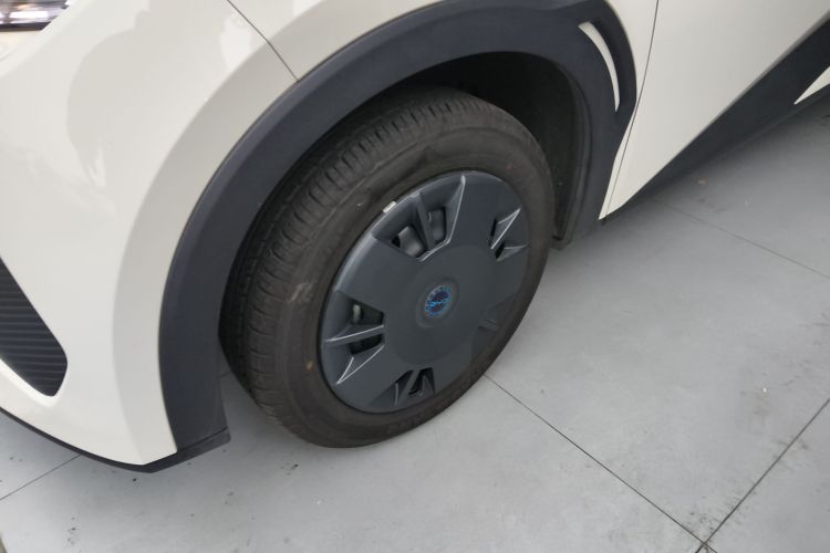 比亚迪 海鸥 2025款 智驾版 305km 活力版车身外观6007