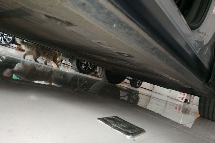 蔚来EC6 2020款 430KM 运动版局部细节9002