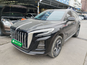 红旗HS3 2023款 1.5T 两驱善为版