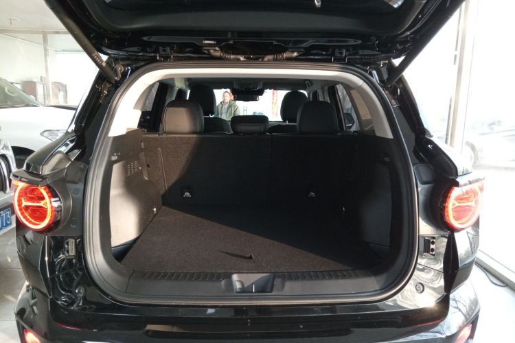 哈弗大狗 PLUS 2023款 2.0T 两驱潮野版Plus局部细节23