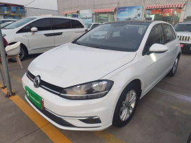 大众 高尔夫 2018款 230TSI 自动舒适型
