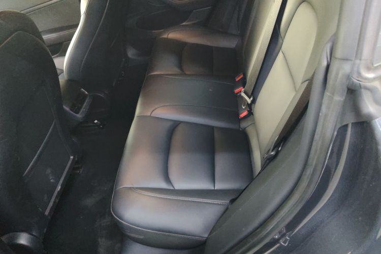 特斯拉 Model 3 2020款 改款 标准续航后驱升级版中控内饰7004