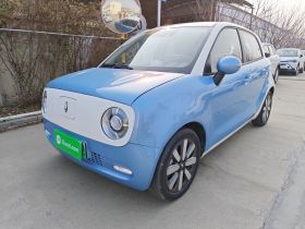 欧拉黑猫 2021款 405km 长续航型