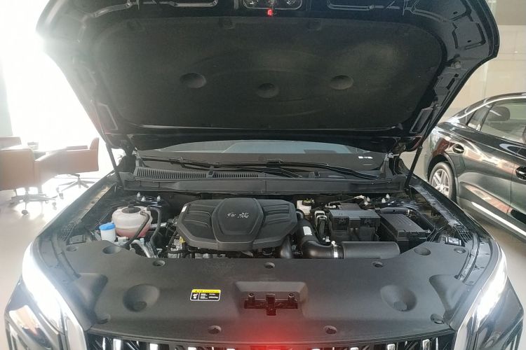 红旗HS5 2023款 2.0T 旗享Pro版局部细节24