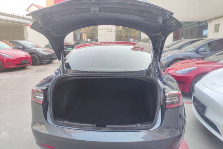 特斯拉 Model 3 2019款 标准续航后驱升级版局部细节23