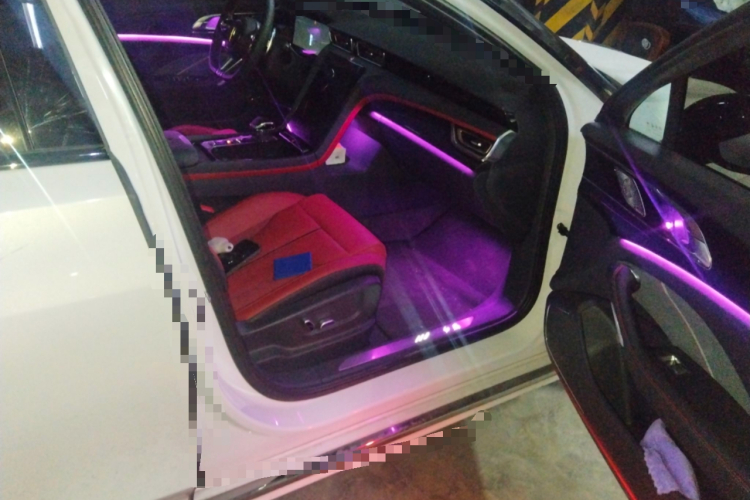 红旗H6 2023款 2.0T 致尚版局部细节9005